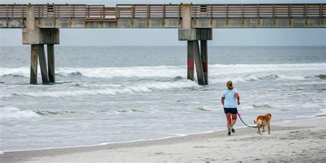 pet friendly hotels jacksonville beach|Pet Friendly Hotels in Jacksonville Beach 